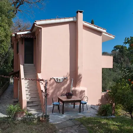 Apartment Wildrose Corfu (city)